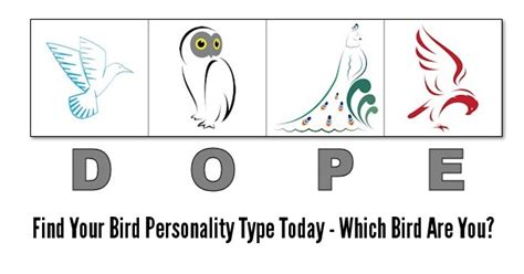dope personality test printable free|4 personality types printable.